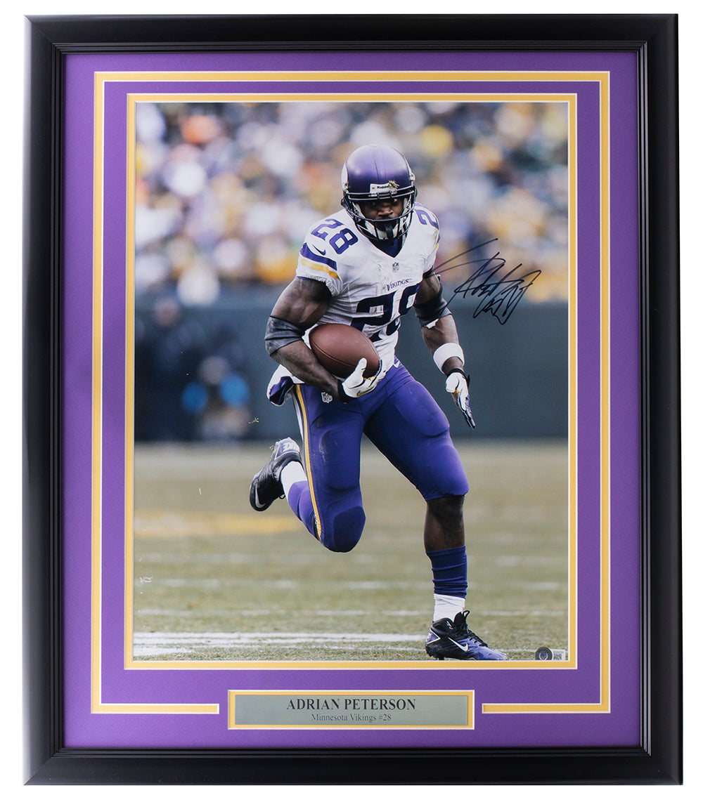 ADRIAN PETERSON MINNESOTA VIKINGS SIGNED JERSEY FRAMED 34x43 BECKETT  WITNESSED