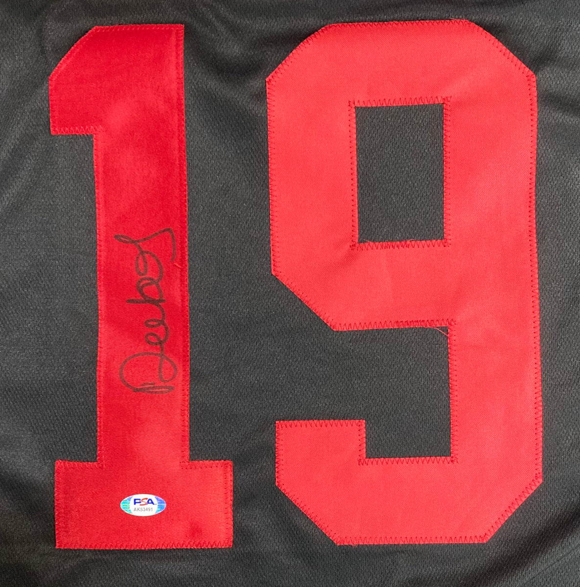 Deebo Samuel Signed Custom Black Pro-Style Football Jersey PSA Hologra –  Sports Integrity