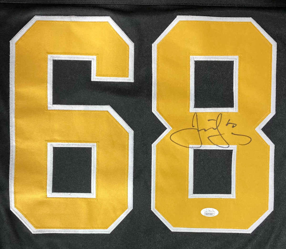 TSE Shop Jaromir Jagr Signed Custom Hockey Jersey