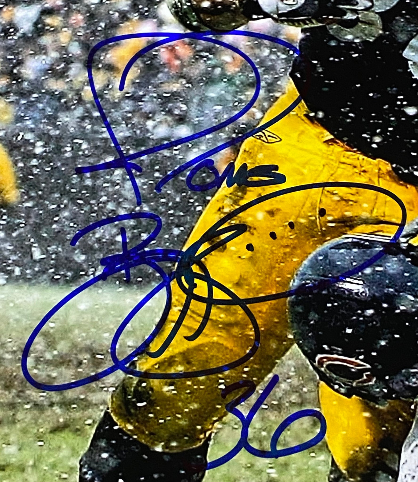 Jerome Bettis Autographed Pittsburgh Steelers 16x20 Photo #2 - Detroit City  Sports