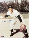 Phil Rizzuto Signed 8x10 New York Yankees Baseball Photo PSA/DNA - Sports Integrity