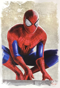 Spider - Man 13x19 Lithograph Signed by Tony Santiago - Sports Integrity