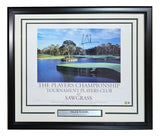 Tiger Woods Signed Framed 16x20 PGA TPC Sawgrass Poster BAS LOA - Sports Integrity